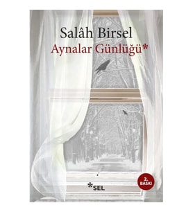 Aynalar Günlüğü