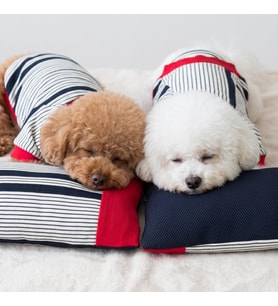 Yacht Club Marin Çizgili Köpek Uyku Takımı  Lacivert Kırmızı Pamuklu Köpek Tulumu ve Mini Yastık  Küçük Irklar İçin