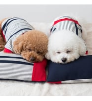 Yacht Club Marin Çizgili Köpek Uyku Takımı  Lacivert Kırmızı Pamuklu Köpek Tulumu ve Mini Yastık  Küçük Irklar İçin
