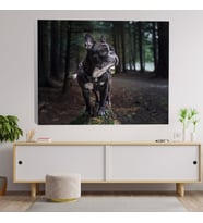 French Bulldog Temalı Dekoratif Kanvas Tablo