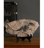 Vintage T Rex Dinozor Fosil Reçine Heykeli Retro Tarzda Minyatür Kapalı Alan Dekorasyonu ve Koleksiyon Parçası Eşsiz Hediyelik ve Hatıra Objeleri