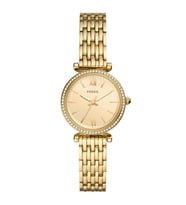 FOSSIL FES5309
