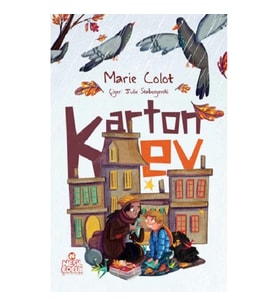 Karton Ev