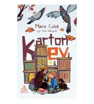 Karton Ev