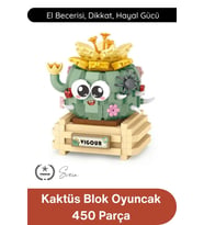 #BlokPuzzle Kaktüs Blok Oyuncak 450 Parça Yapı İnşa Seti Eğitici Zeka Geliştirici Montaj Puzzle STEM