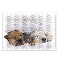 Cats Collection Three Puzzle 240 Parça Yapboz