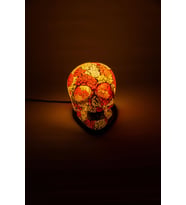 Lumino Skull R&W (Çok Renkli)