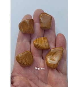 50 Gram Kahverengi Jasper Tamburlu Parçalar 538