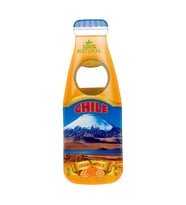 Şili Temalı Magnet Şişe Açacak (Karışık)