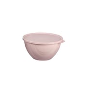 Moon Star Elegance Kapaklı Hava ve Koku Sızdırmaz Yemek Saklama Kabı 0,5 Litre-RBK-310