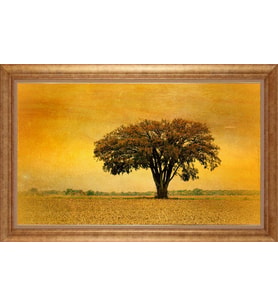 Çerçeveli Paspartulu Manzara Tablo bm1151 (Gold)