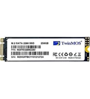 TwinMOS 256GB NGFFEGBM2280 M.2 2280 SATA3 SSD (580Mb-550Mb-s) 3DNAND Ssd Disk