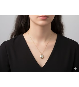 AKFECAN ÇELİK 316L ZİRKON TAŞLI İÇİ AÇILIR ALYA KOLYE (Altın Rengi)