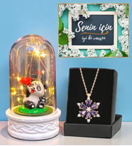 Led Işıklı Fanus ve Gerçek Ametist Taşlı Lotus Kolye Hediye Seti (Model 8)
