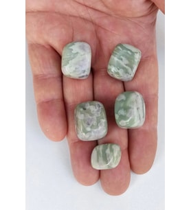 50 Gram Yeşil Jasper Tamburlu Parçalar 213-2