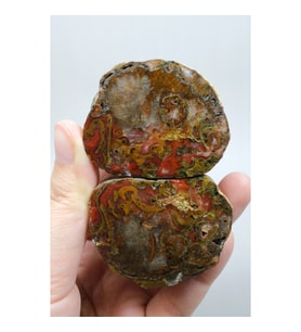 Carnelian Kırmızı ve Hardal Sarısı Bantlı Siyah Deniz Akik Çifti, 167g