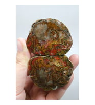 Carnelian Kırmızı ve Hardal Sarısı Bantlı Siyah Deniz Akik Çifti, 167g