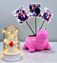 Kişiye Özel Hediye Seti 3 Fotoğraflı Sevimli Pembe Kaplumbağa ve Led Işıklı Fanus (Model 3)