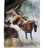 %100 Orijinal At Suluboya Tablo 56x41 cm