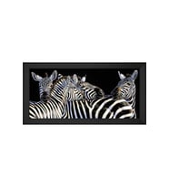 Zebralar Motifli Kanvas Tablo 80 x 110 cm Siyah Çerçeve