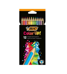 BİC COLOR UP ÜÇGEN KURU BOYA 12 RENK (950527)