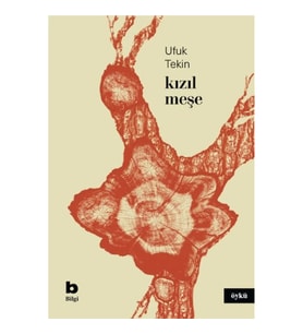 Kızıl Meşe