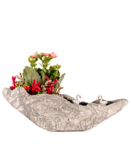 Kaya Saksıda Pembe Kalanchoe Teraryum