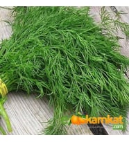 Dere Otu Tohumu Paket +25 gr Paket
