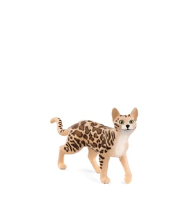 Schleich Bengal Kedisi 13918