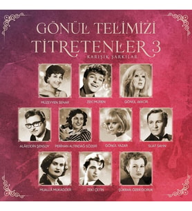 Gönül Telimizi Titretenler 3 Çeşitli Sanatçılar - Plak
