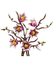 LEGO Botanicals Manolya Dalları 11510