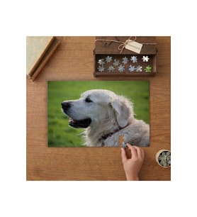 Retriever Köpek- Sevimli Hayvan Tasarımı 240 parça Ahşap Puzzle Ahşap Kutuda MP00084