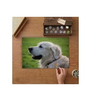 Retriever Köpek- Sevimli Hayvan Tasarımı 240 parça Ahşap Puzzle Ahşap Kutuda MP00084