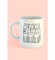 Cats Meeting