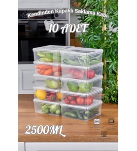 10 ADET KARE KENDİNDEN KAPAKLI SAKLAMA KABI, DÜZENLEYİCİ, DERİN DONDURUCUYA UYGUN 2,5 LT