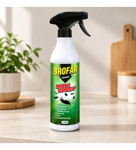 Northcity 450 ml Maxi Sprey