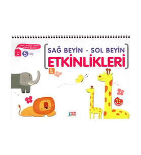 5 Yaş Sağ Beyin Sol Beyin Etkinlikleri