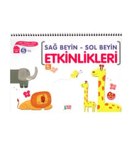 5 Yaş Sağ Beyin Sol Beyin Etkinlikleri