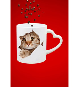 Sevimli Kedi Tekir Baskılı Hediye Kalp Kupa Bardak Porselen Çay Kahve Fincanı