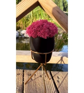 Pembe Siyah Moss, Hediyelik, Dekor, Dekoratif Hediyelik Mini Biblo