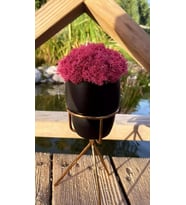 Pembe Siyah Moss, Hediyelik, Dekor, Dekoratif Hediyelik Mini Biblo