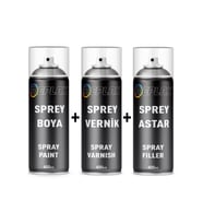 Ford H4-FRD9724 Fırtına Gri Sprey Rötuş Boyası+Vernik+Astar