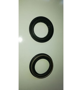 KEÇE AKS D21/D22 1990-1998 (50X70X12X7)