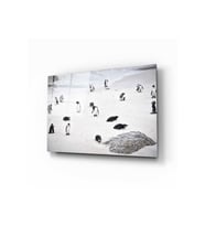 Miyrem Glasses Collection -A1^#  Penguen Cam Tablo (Çok Renkli)