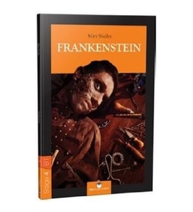 Stage 4 - B1: Frankenstein