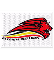 Pourquoi Les Red Lions Puzzle 240 Parça Yapboz