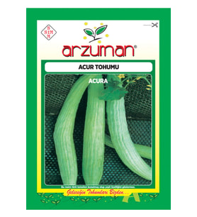 Acur Tohumu