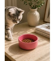 Kase Model Beton Kedi Köpek Mama ve Su Kabı (15cm çap × 5cm) - Pembe