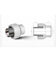Ege Yıldız PPRC 50X1 1/2 Erkek Adaptör Gri(Lisinya)