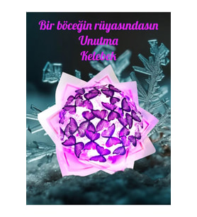 Mor Led Işıklı Kelebek Buketi A Kalite 24 Adet Kelebekli Sevgiliye/ Eşine vb Herkes İçin
